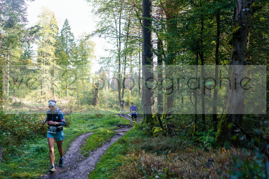 Herbstlauf 2024 | Rennsteig-Herbstlauf von Neuhaus am Rennweg nach Masserberg am 6. Oktober 2024