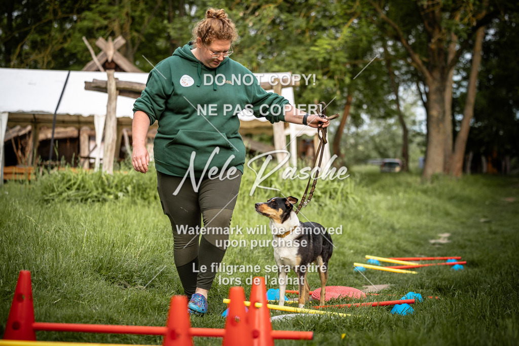 nelerasche_So-earlydog_37 | nelerasche