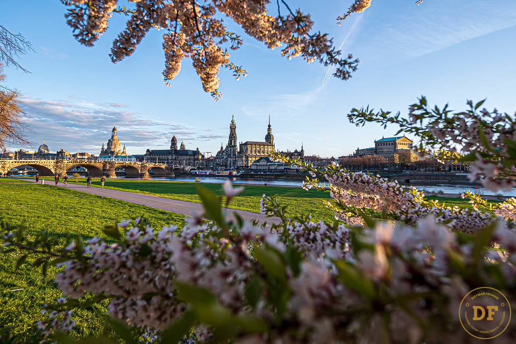 -0-9547 | Geschenke, Wandbilder und Accessoires mit Motiven aus Dresden und anderen schönen Orten zur Verschönerung Deines zu Hauses und zum verschenken gewünscht? Wähle Deine Lieblingsbild auf dem Produkt Deiner Wahl. 