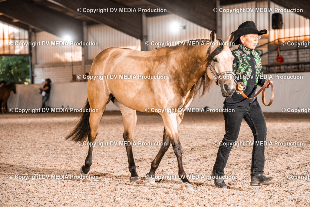 ZH100090 | dv-media-shop - Realisiert mit Pictrs.com