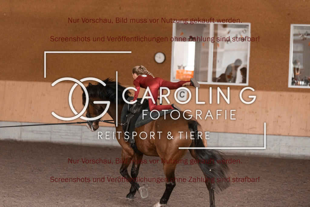 DSC_2056 | Turnierfotografin Carolin Gieschke,Reitsport Turnierfotografie Carolin G Fotografie | Turnierfotos aus Kirchheim/Teck, Esslingen, Stuttgart und dem Bodenseekreis