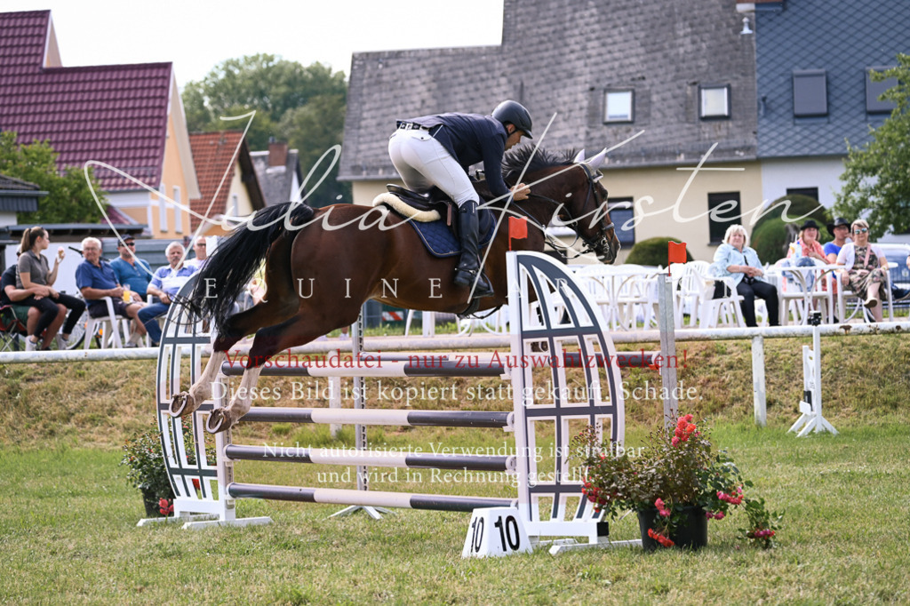 DSC_0790 | Pferde- und Turnierfotografie in Westsachsen. Pferdeportraits, Auftragszeichnungen und intuitive Kunst.