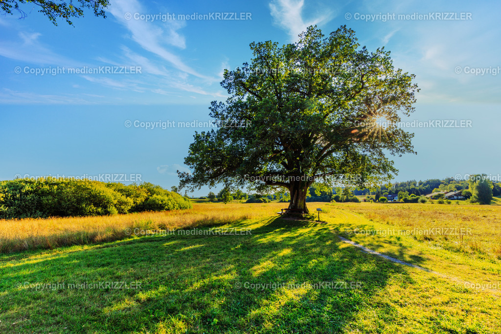 _J3A8493 | medienkrizzler - Realisiert mit Pictrs.com