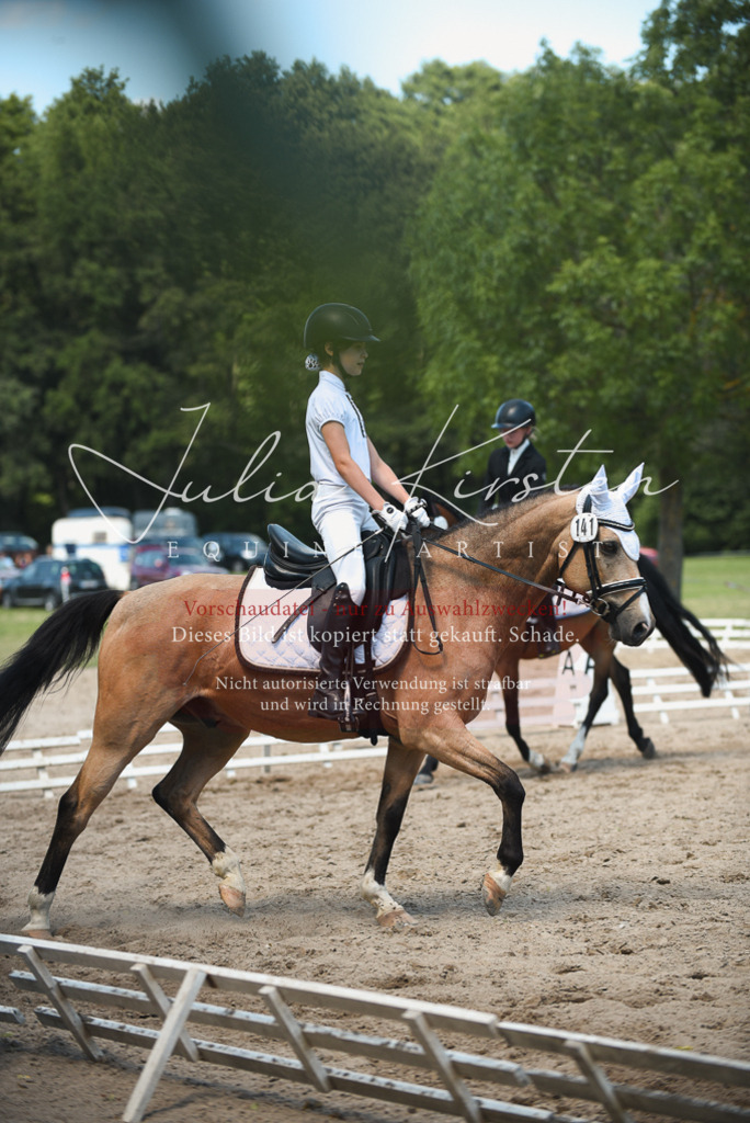 DSC_2496 | Pferde- und Turnierfotografie in Westsachsen. Pferdeportraits, Auftragszeichnungen und intuitive Kunst.