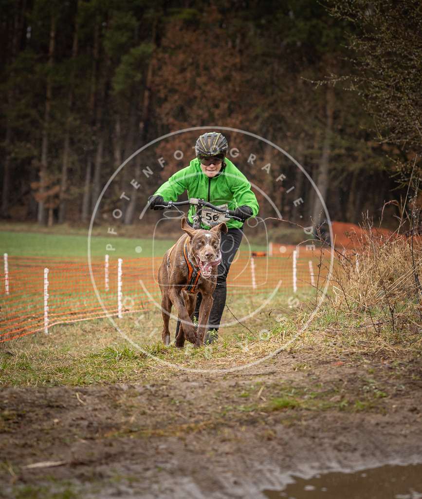 DV3A9460 | Hundefotografie, Tierfotograf, Pfotenfotografie, Fotoshooting Hund, Hunde Portrait, Hundesport, Hundeportraits, Heideshooting, Hunde, Sportfotograf, Hundefotograf, Turnierhundsport, THS,  - Realisiert mit Pictrs.com