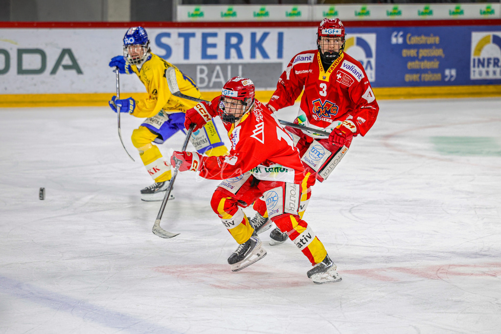 EHCB vs HCD-0173 | Sportbilder, Sportfotograf, Hochzeits- und Eventfotografin, Flugshows, Portraits und Tiershooting, Aviation, Downhill, Nationalleague, Swissleague, International