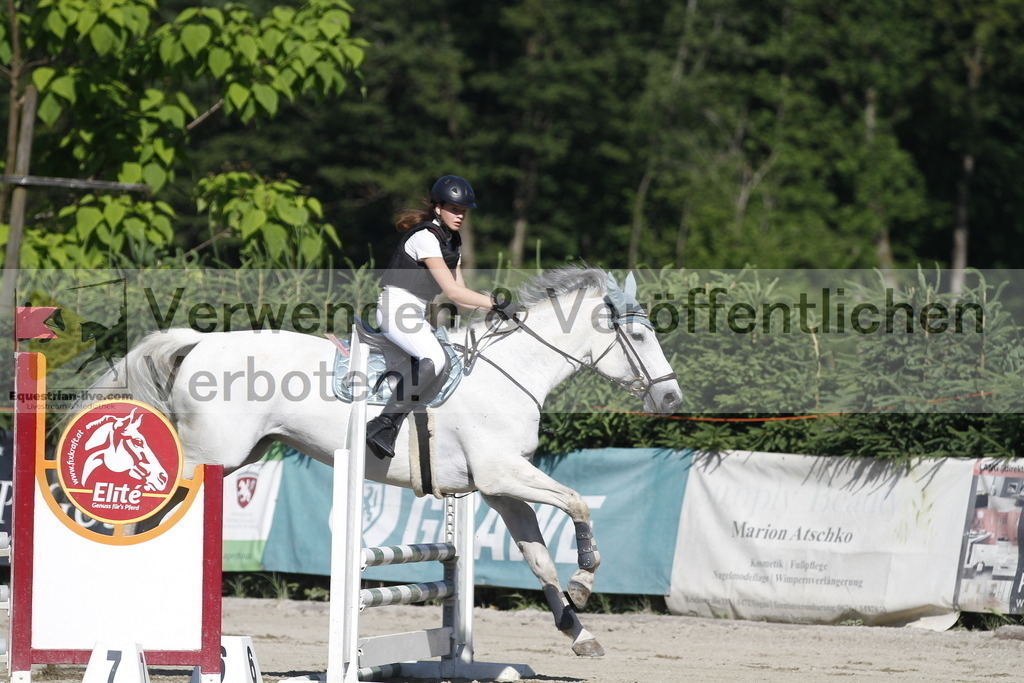 _MG_2388 | equestrian-live-com