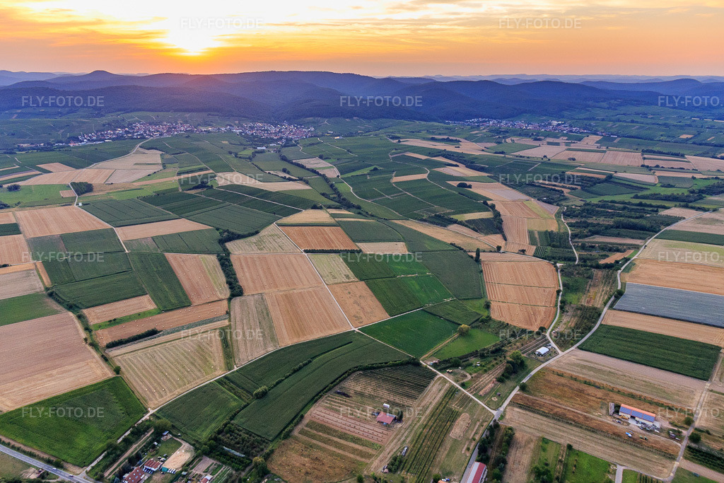 Luftbild: Südliche Weinstraße aus Südosten im Ortsteil Rechtenbach in Schweigen-Rechtenbach im Bundesland Rheinland-Pfalz in Deutschland. Foto: IMG_109145.jpg vom 19.07.2018 durch Werner Riehm/FLY-FOTO.de