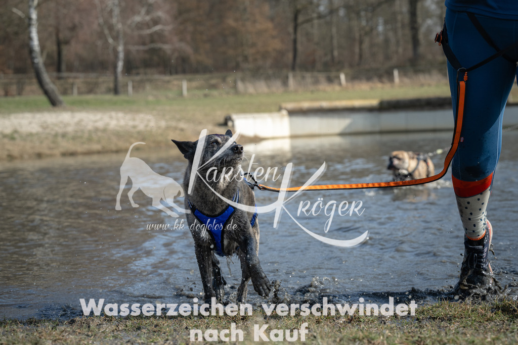 1332_ZZ97050 | kk-dogfotos