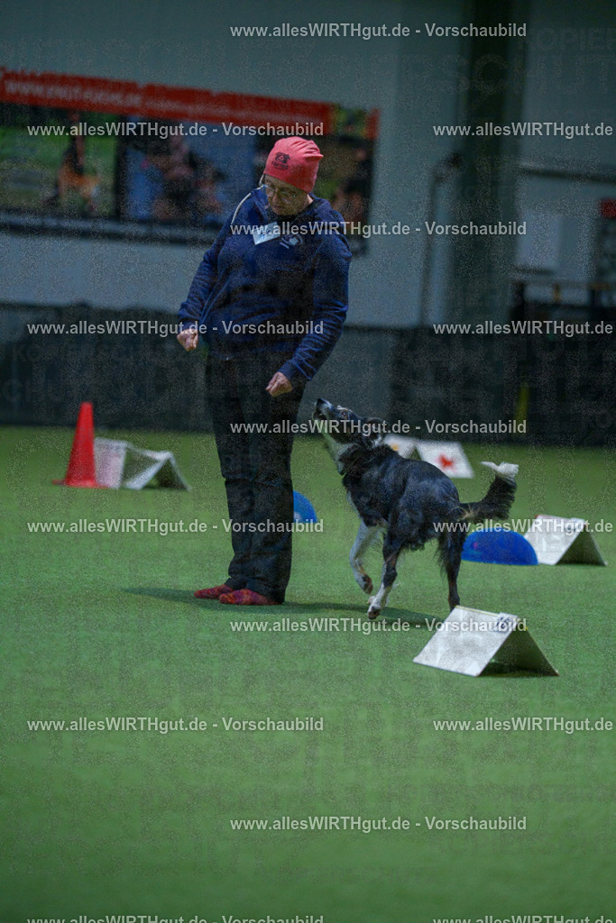 7R502714 | Professionelle Tierfotografie in Mönchengladbach von Daniel Wirth (allesWIRTHgut). Liebevolle & natürliche Bilder von Hunden & Katzen für unvergessliche Erinnerungen.