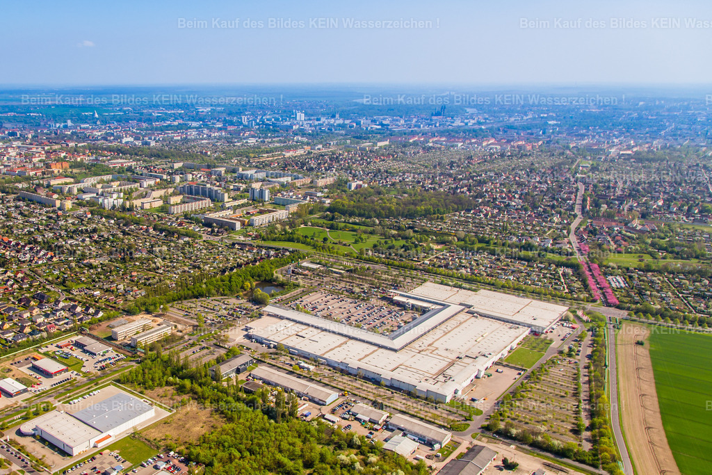 Florapark-8967 | Florapark hoch und Neustädter Feld - Realisiert mit Pictrs.com