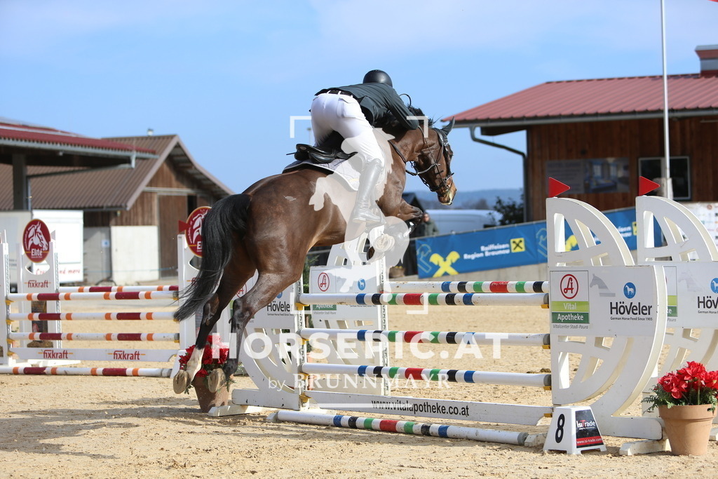 DL2Q8528 | Willkommen bei Brunnmayr - Design & Fotografie – Ihrem Spezialisten für Reitturniere und Pferdeveranstaltungen in Oberösterreich, Salzburg und Bayern! Seit über 17 Jahren sind wir leidenschaftlich dabei.