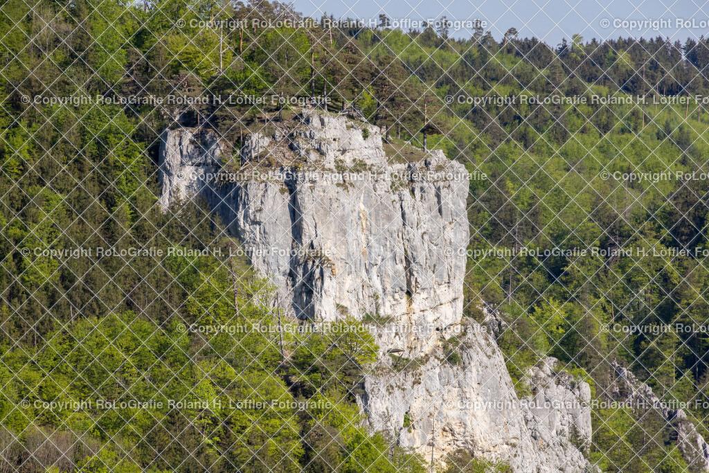 Im-Donautal-36 | IPTC Infos - Realisiert mit Pictrs.com