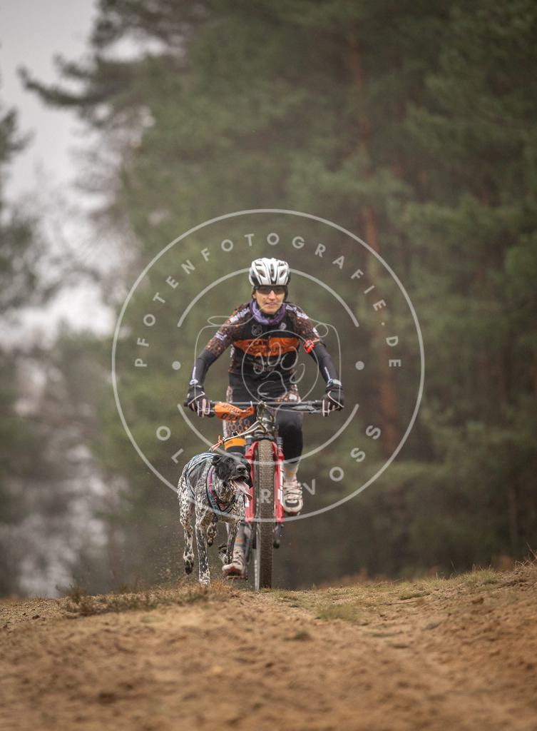Pfotenfotografie_DV3A3137 | Hundefotografie, Tierfotograf, Pfotenfotografie, Fotoshooting Hund, Hunde Portrait, Hundesport, Hundeportraits, Heideshooting, Hunde, Sportfotograf, Hundefotograf, Turnierhundsport, THS,  - Realisiert mit Pictrs.com