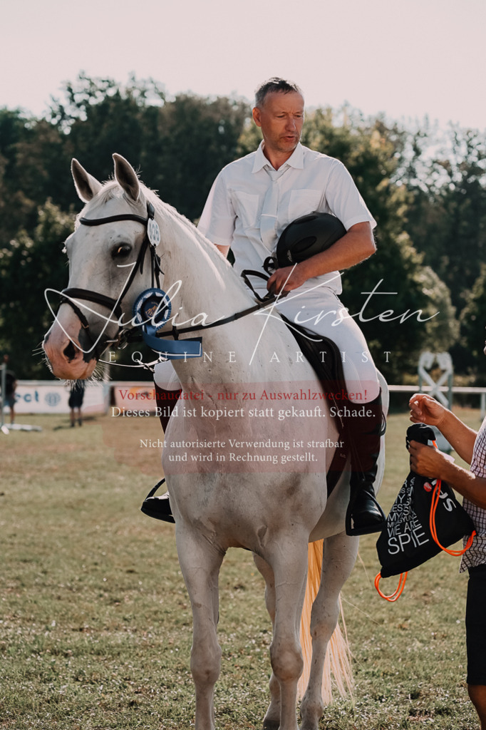 DSC_4921 | Pferde- und Turnierfotografie in Westsachsen. Pferdeportraits, Auftragszeichnungen und intuitive Kunst.