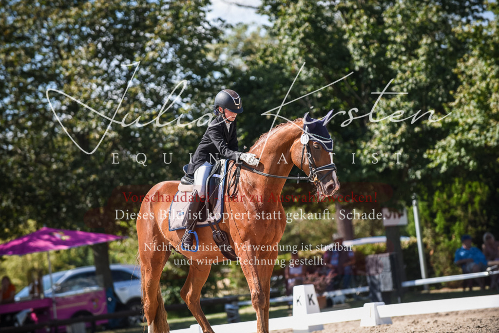 DSC_9537 | Pferde- und Turnierfotografie in Westsachsen. Pferdeportraits, Auftragszeichnungen und intuitive Kunst.
