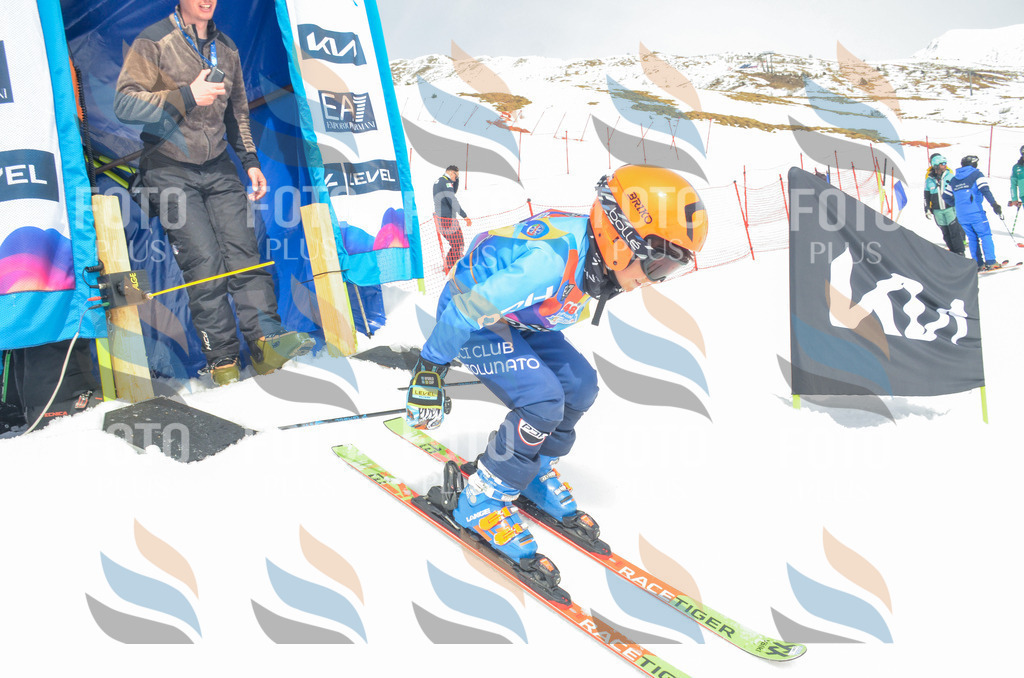 _ELE8374 | holidayphoto