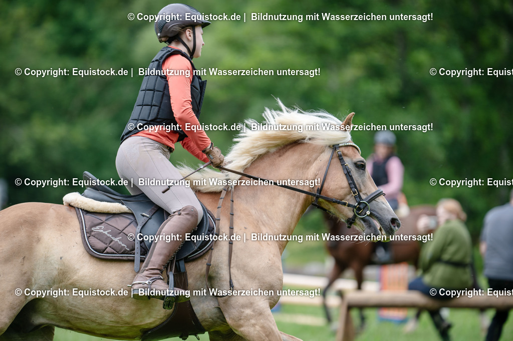 20250725_Vielseitigkeitslehrgang-Marbach_0372 | Foto: Thomas Hartig
