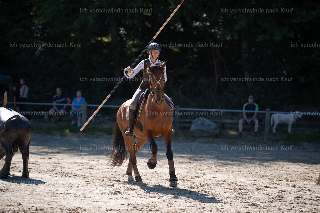 WL_SP_106_Stoibphotography_SO15910 | working equitationturnier fotograf videograf stoibphotography marixx film working equitation deutschland reitsport turnierfotografie eventfotografie equestrian events