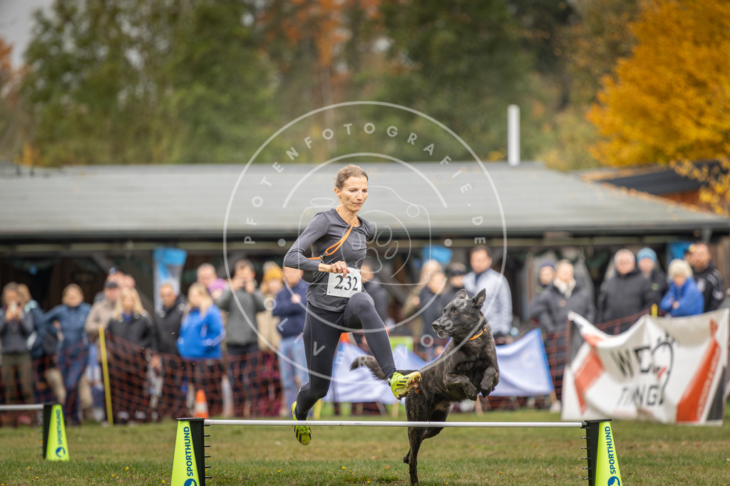 Pfotenfotografie_DV3A3362 | Hundefotografie, Tierfotograf, Pfotenfotografie, Fotoshooting Hund, Hunde Portrait, Hundesport, Hundeportraits, Heideshooting, Hunde, Sportfotograf, Hundefotograf, Turnierhundsport, THS,  - Realisiert mit Pictrs.com
