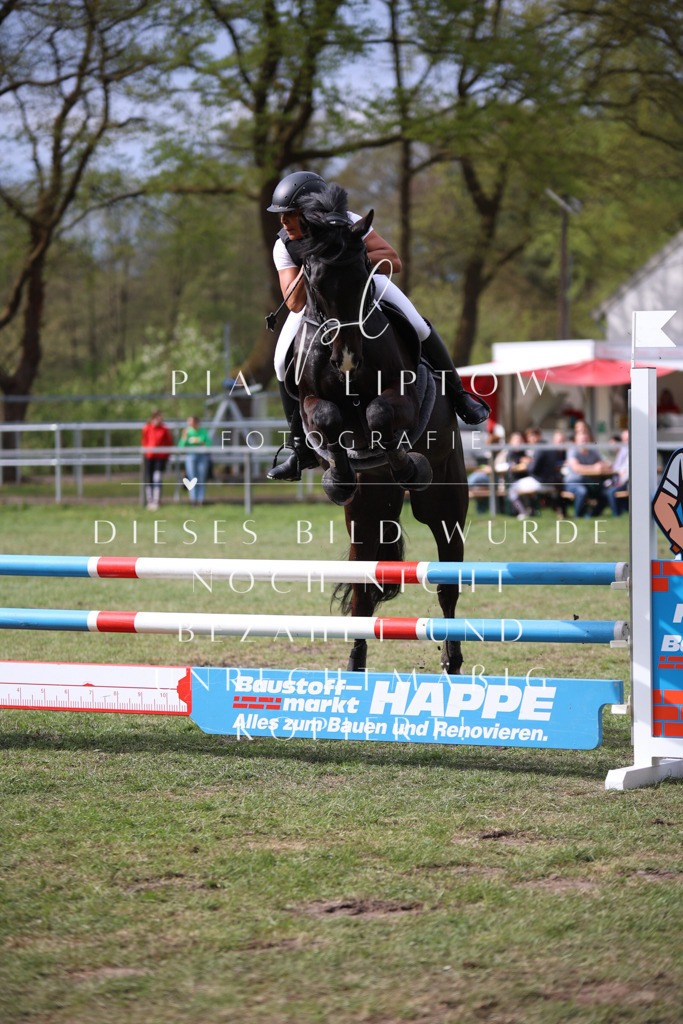 IMGT1921 | pl-fotografie