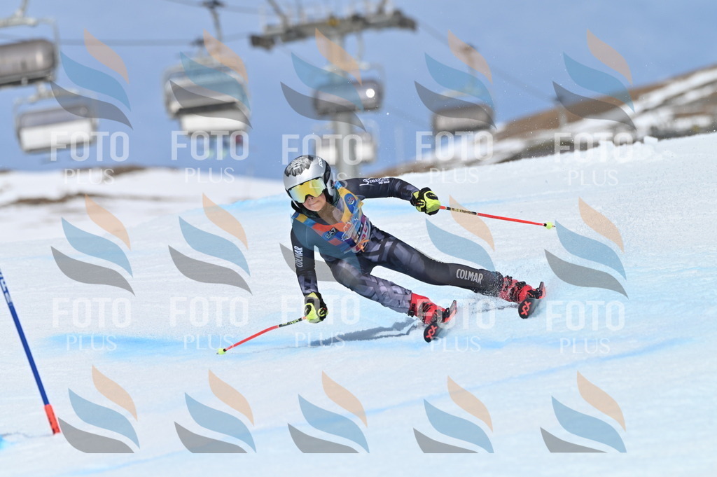 BGV_1414 | holidayphoto