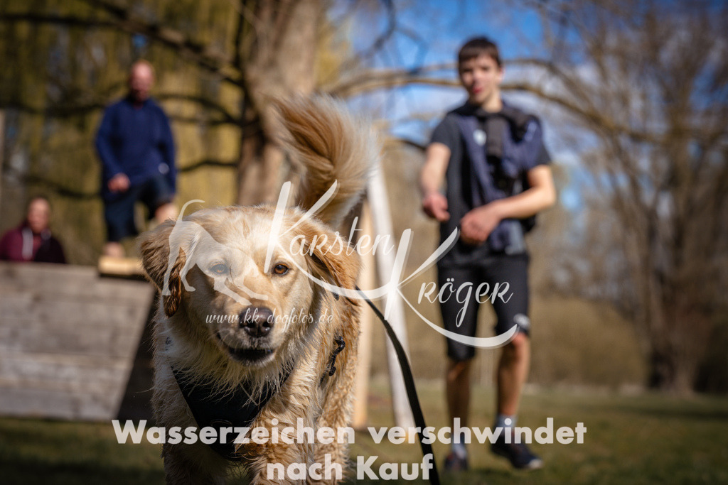 1030_ZZ97519 | kk-dogfotos