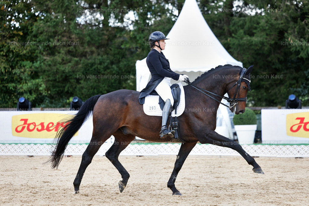 10-193-ST.GEORG SPECIAL -StoibPH-3260 | working equitationturnier fotograf videograf stoibphotography marixx film working equitation deutschland reitsport turnierfotografie eventfotografie equestrian events