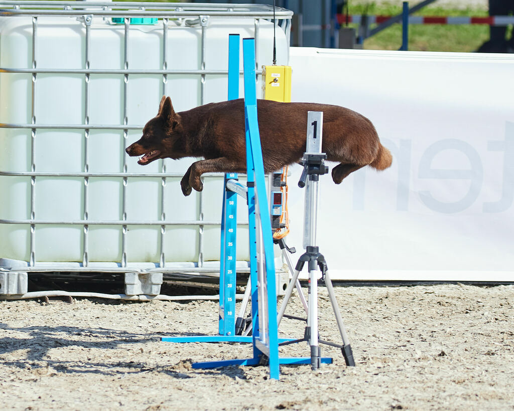 580A0159 | Peter Fridle Fotografie - Realisiert mit Pictrs.com