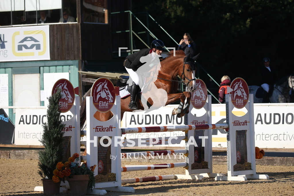 DL2Q1021 | Willkommen bei Brunnmayr - Design & Fotografie – Ihrem Spezialisten für Reitturniere und Pferdeveranstaltungen in Oberösterreich, Salzburg und Bayern! Seit über 17 Jahren sind wir leidenschaftlich dabei.