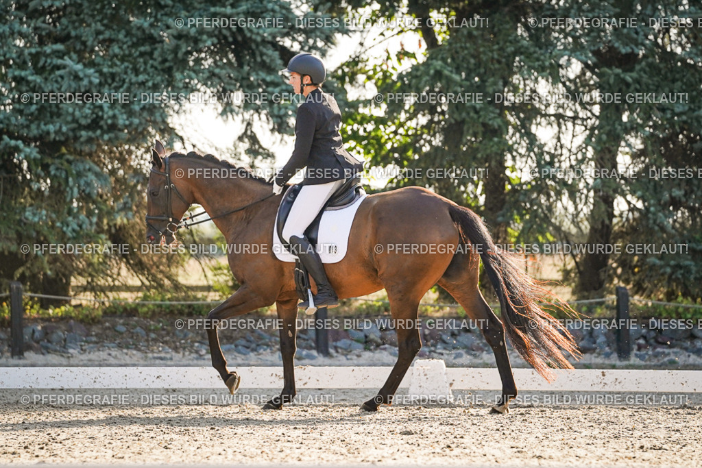 DSC08377 | Pferdegrafie