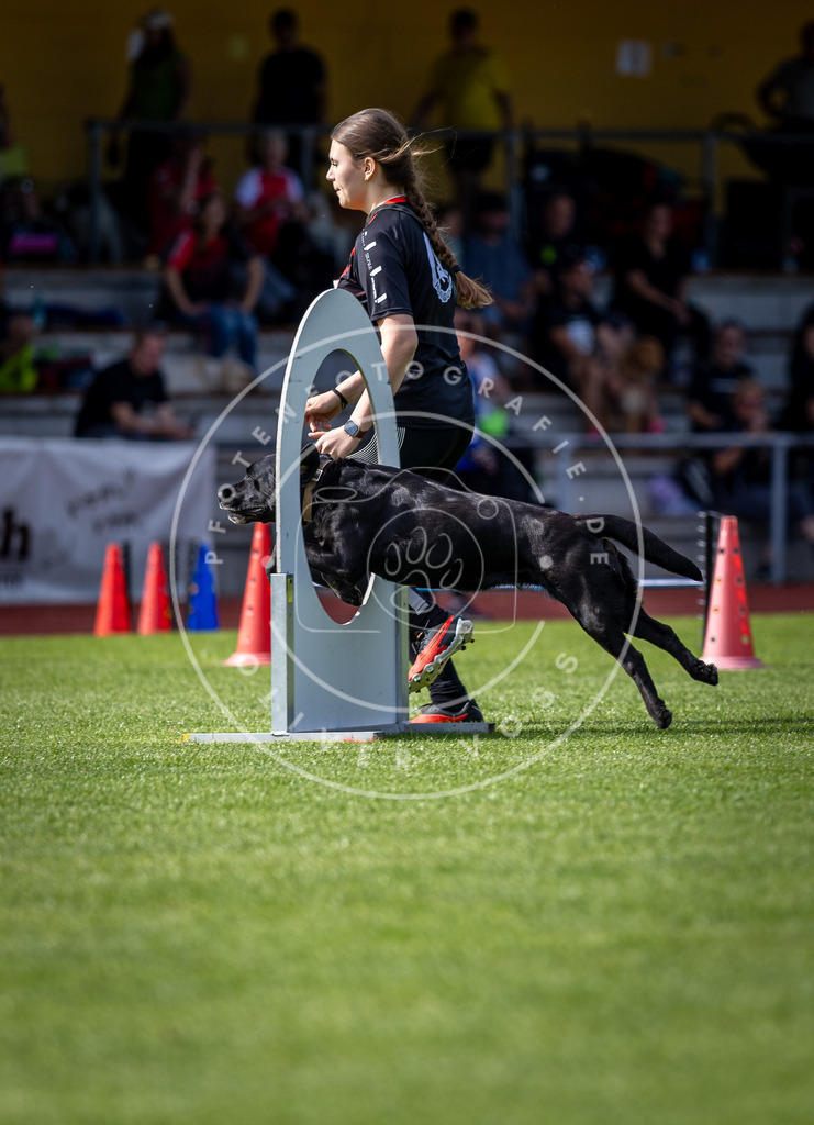 Pfotenfotografie_DV3A1011 | Hundefotografie, Tierfotograf, Pfotenfotografie, Fotoshooting Hund, Hunde Portrait, Hundesport, Hundeportraits, Heideshooting, Hunde, Sportfotograf, Hundefotograf, Turnierhundsport, THS,  - Realisiert mit Pictrs.com