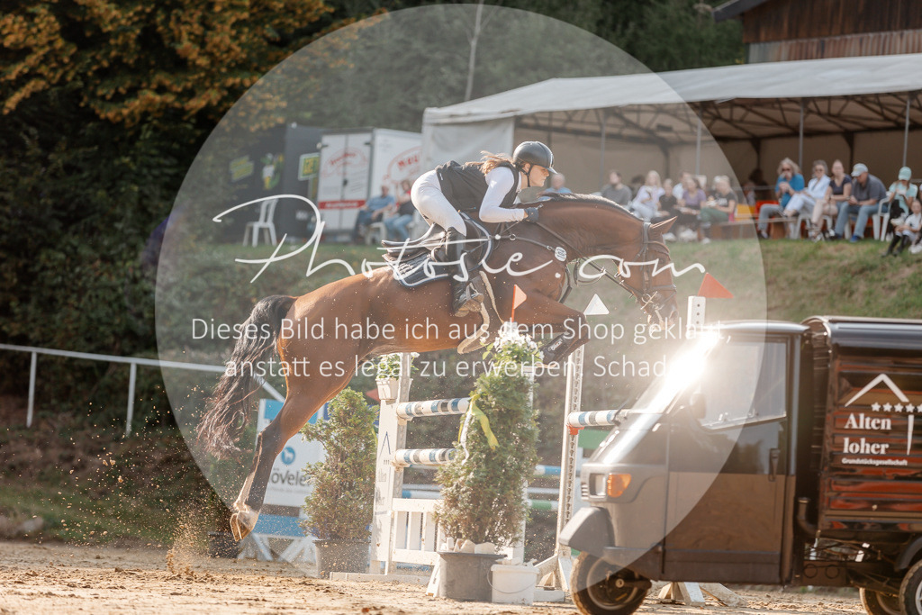 3I6A5090 | Stimmungsvolle Portraits und Reitsportfotografie im Ruhrgebiet und im Münsterland.

Pferdefotografie, Hundefotografie, Tierfotografie, Reportagen, Portraits von Tier und Mensch, Turnierfotografie in Bochum, Recklinghausen, Marl, Haltern am See, Dülmen.. - Realisiert mit Pictrs.com