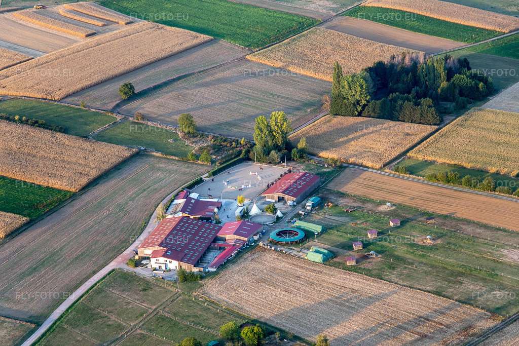 Vue aérienne: Élevage d'animaux - écuries, élevage de chevaux Écurie du Lac à Retschwiller dans le département Bas Rhin, France. Photo: IMG_123278.jpg prise le 30/09/2020 par Werner Riehm/FLY-FOTO.euRésolution de l'original: 5472 x 3648 px
