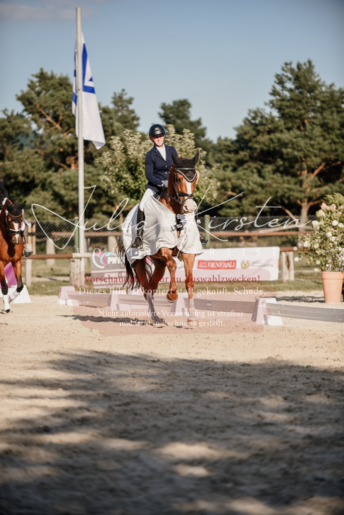 DSC_0737 | Pferde- und Turnierfotografie in Westsachsen. Pferdeportraits, Auftragszeichnungen und intuitive Kunst.