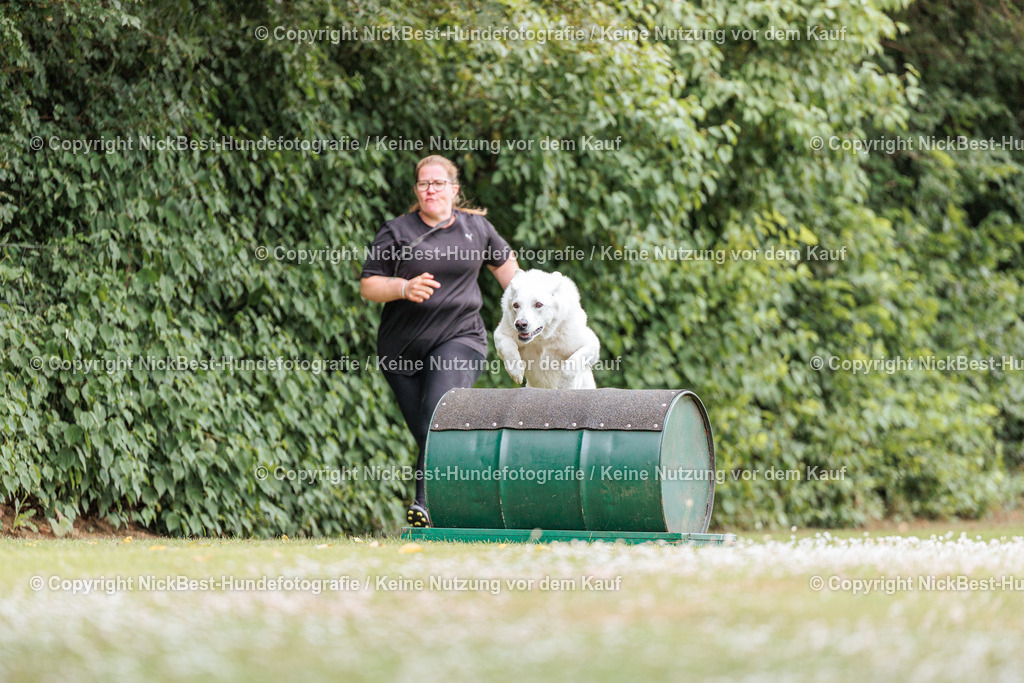 THS-Quakenbrück-2026-Nickbest-Hundefotografie-4210 | Dein Hund! Dein Moment! Deine Erinnerungen! Hundefotografie in Bremen Blumenthal. Ich fange die besonderen Momente deines Vierbeiners ein – ob Indoor mit Blitzanlage oder in der freien Natur. Sicher dir dein Moment und dein Termin für eure Erinnerungen.