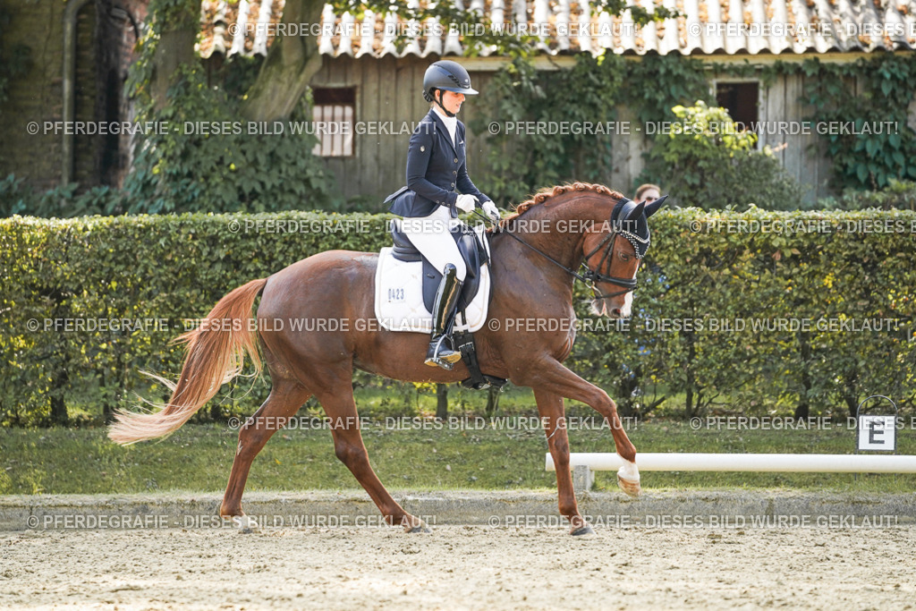 DSC07490 | Pferdegrafie