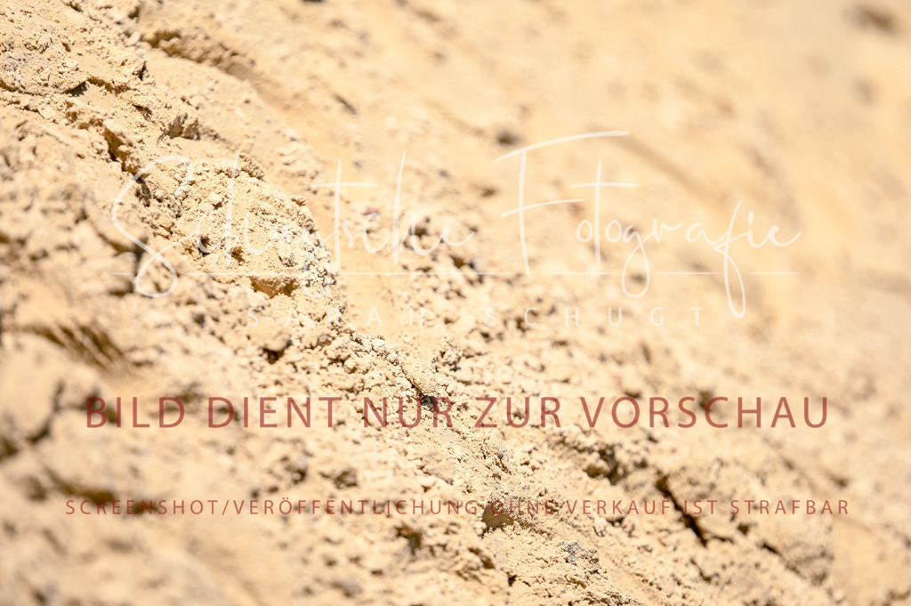 Schugtsche-Aluta25-50.Dressurpferdeprf.L-25 | Schugtsche Fotografie - Realisiert mit Pictrs.com