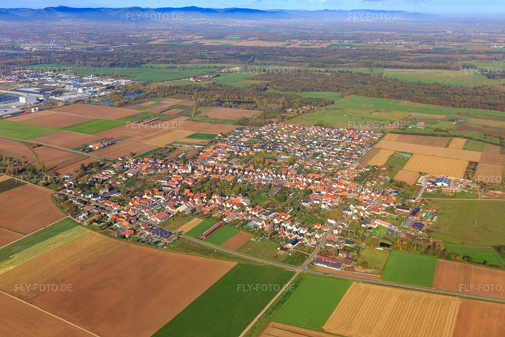 Luftbild: Ortsansicht von Süden in Ottersheim bei Landau im Bundesland Rheinland-Pfalz in Deutschland. Foto: IMG_104312.jpg vom 31.10.2017 durch Werner Riehm/FLY-FOTO.de