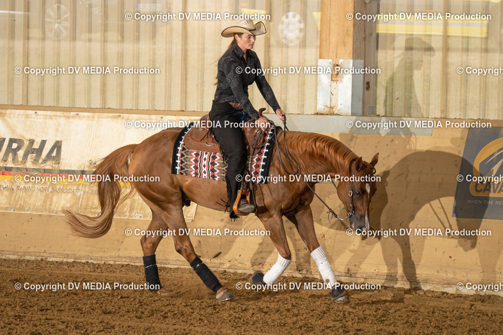 LAU01452 | dv-media-shop - Realisiert mit Pictrs.com