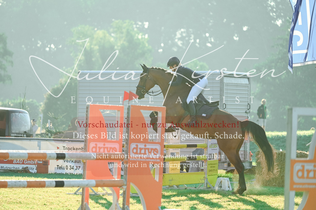 DSC_3827 | Pferde- und Turnierfotografie in Westsachsen. Pferdeportraits, Auftragszeichnungen und intuitive Kunst.
