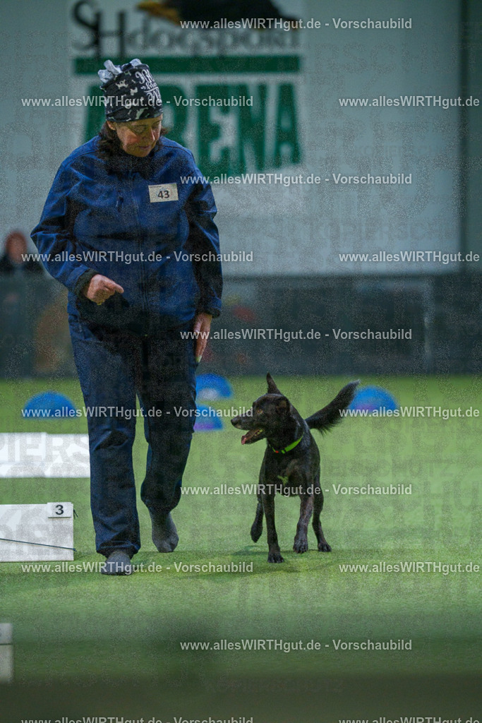 7R501213 | Professionelle Tierfotografie in Mönchengladbach von Daniel Wirth (allesWIRTHgut). Liebevolle & natürliche Bilder von Hunden & Katzen für unvergessliche Erinnerungen.