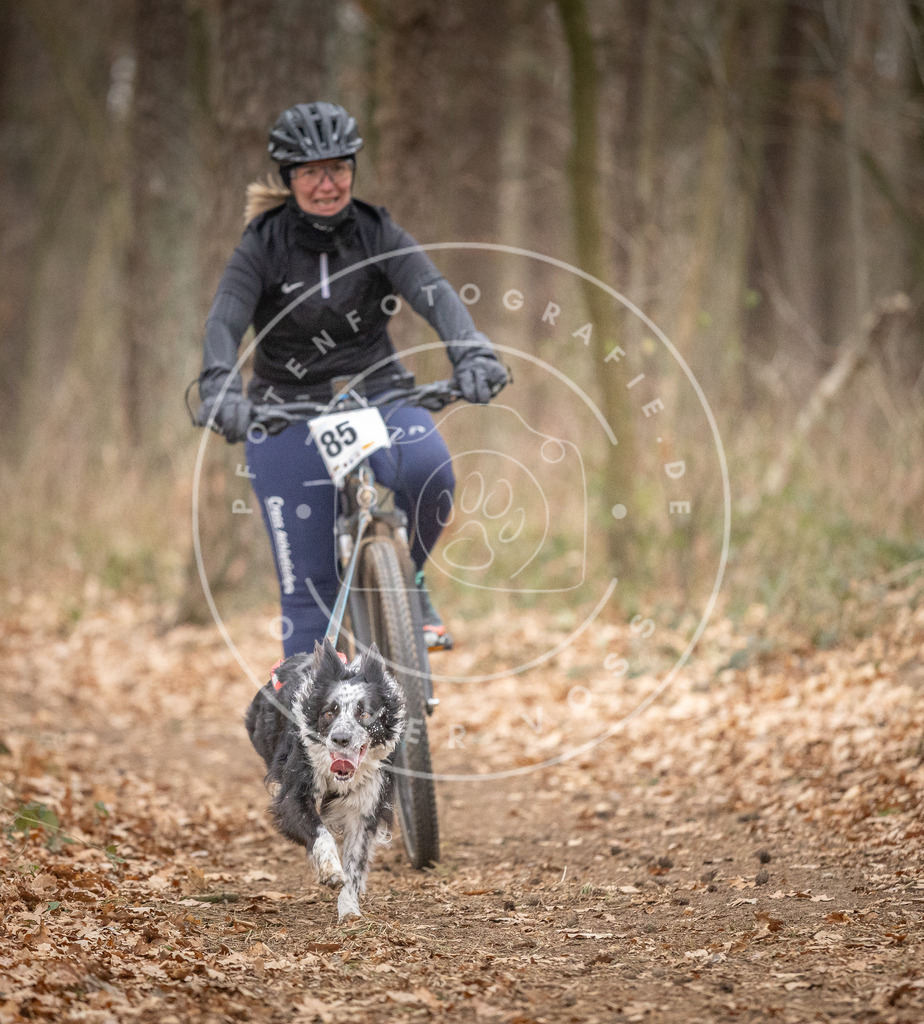 Pfotenfotografie_DV3A6235 | Hundefotografie, Tierfotograf, Pfotenfotografie, Fotoshooting Hund, Hunde Portrait, Hundesport, Hundeportraits, Heideshooting, Hunde, Sportfotograf, Hundefotograf, Turnierhundsport, THS,  - Realisiert mit Pictrs.com
