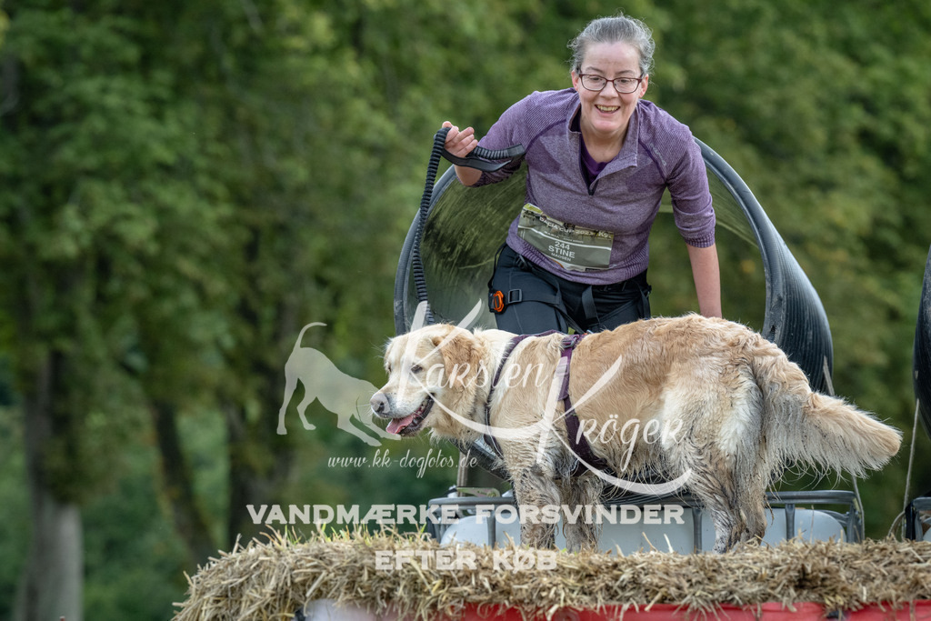 1035_ZZ92545 | kk-dogfotos