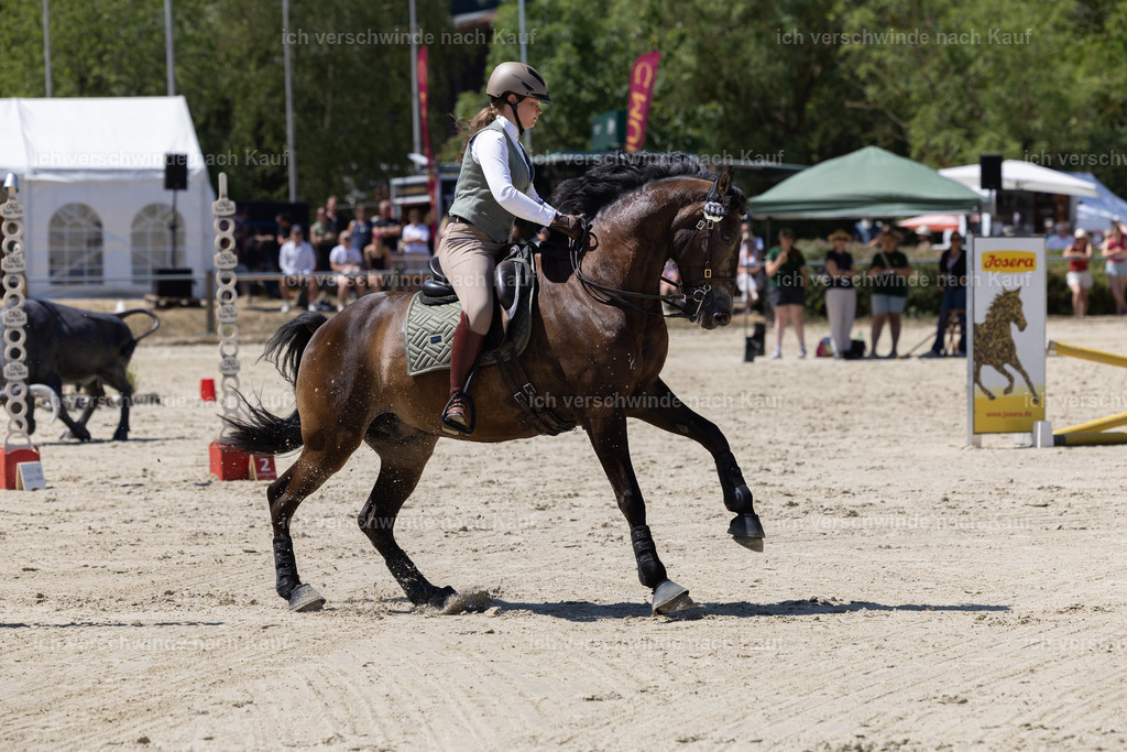 WM_Junioren_Speed_131_KerstinBernhardt-7 | working equitationturnier fotograf videograf stoibphotography marixx film working equitation deutschland reitsport turnierfotografie eventfotografie equestrian events