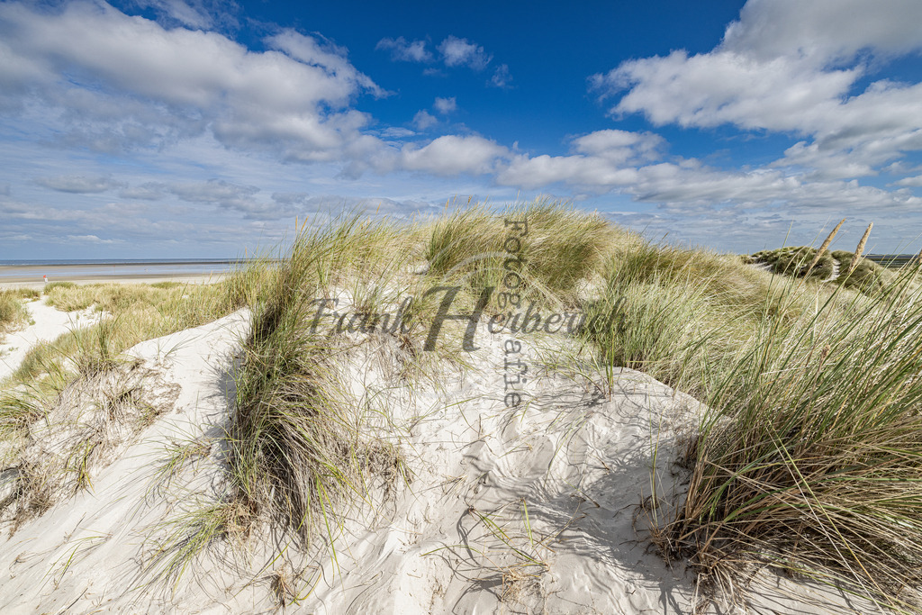St. Peter Ording Dünenlandschaft | Frank Herberich Fotografie, Frank Herberich, Fotografie, Hochzeit, Portrait, St. Peter Ording, Ording, Westerhever, Nordsee, Frank Fotografie, Hardheim,  Odenwald,Walldürn, Band,Eventfotografie - Realisiert mit Pictrs.com