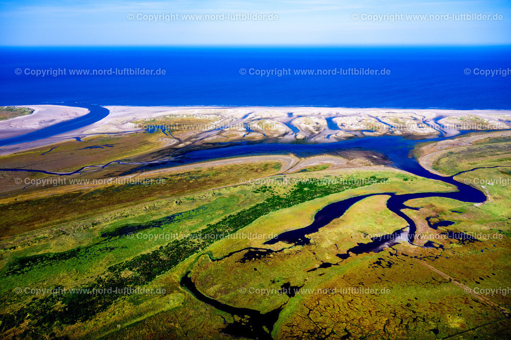 Römö_Dänemark_Dünenlandschaft_ELS_7301280824 | RöM 28.08.2024 Sandstrand- Landschaft und Dünen- Schutzwall entlang des Küsten- Verlaufes an der Straße Rimmevej in Röm in Region Syddanmark, Dänemark. // Sandy beach and dune landscape on street Rimmevej in Roem in Syddanmark, Denmark. Foto: Martin Elsen