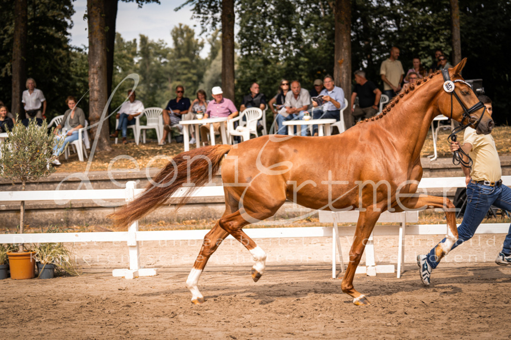 5.Fr00031 | Leoni Ertmer Photography - Realisiert mit Pictrs.com