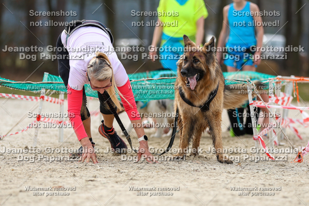 Dog Paparazzi - Strongdog North Mrz26-5705 | Dog Paparazzi Jeanette Grottendiek Fotografie & Videografie - Realisiert mit Pictrs.com