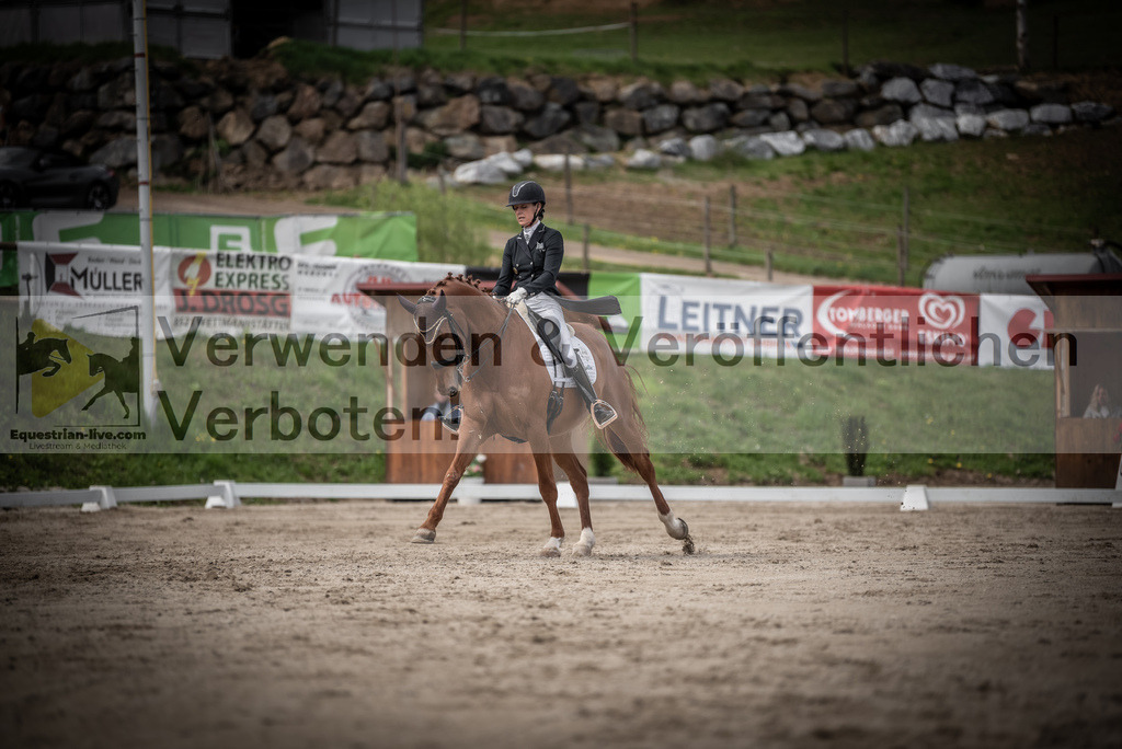 DSC_3129 | equestrian-live-com